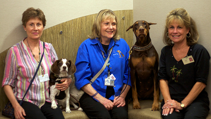 Volunteers with dogs