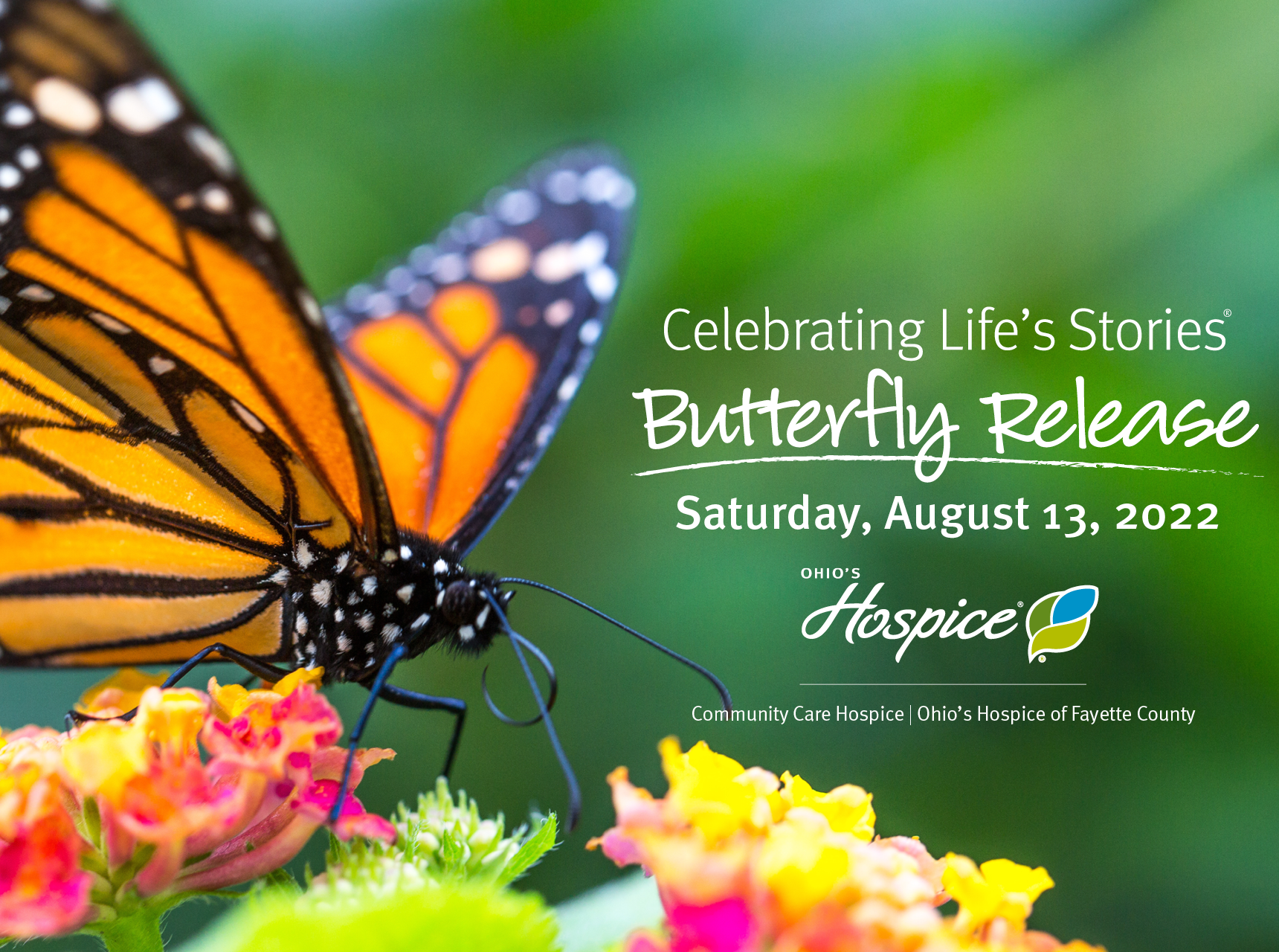 Celebrating Life's Stories Butterfly Release | Saturday, August 31, 2022